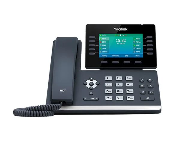 professional IP phone