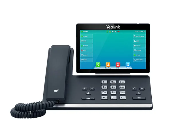professional IP phone
